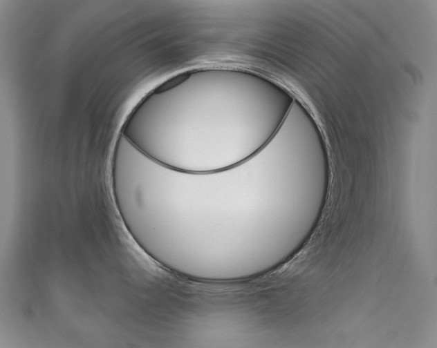 X0000111871344200907231143