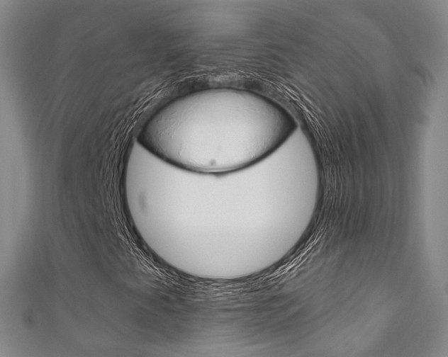 X0000111871345200907231143