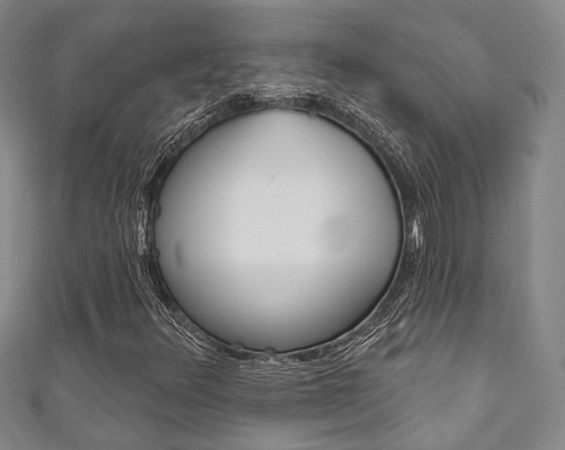 X0000111871348200907231143