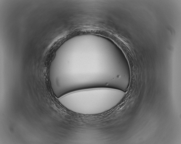 X0000111871351200907231143