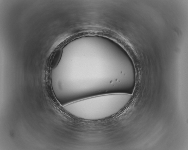 X0000111871352200907231143