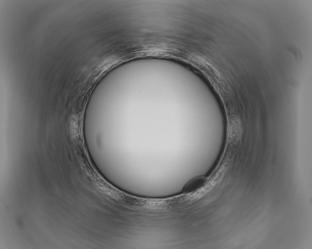 X0000111871353200907231143