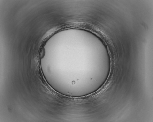 X0000111871354200907231143