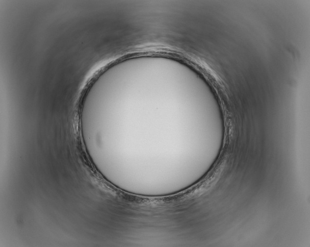 X0000111871358200907231143