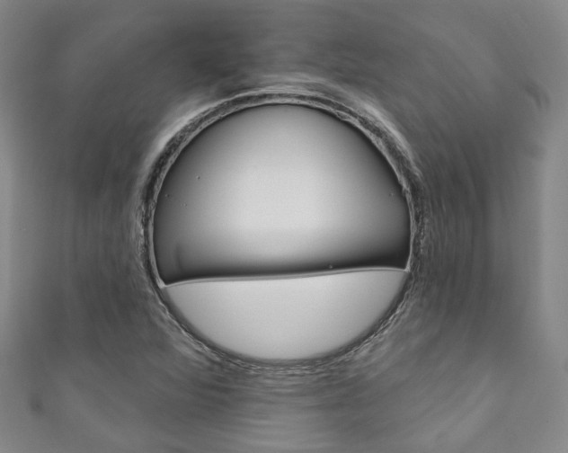 X0000111871360200907231143