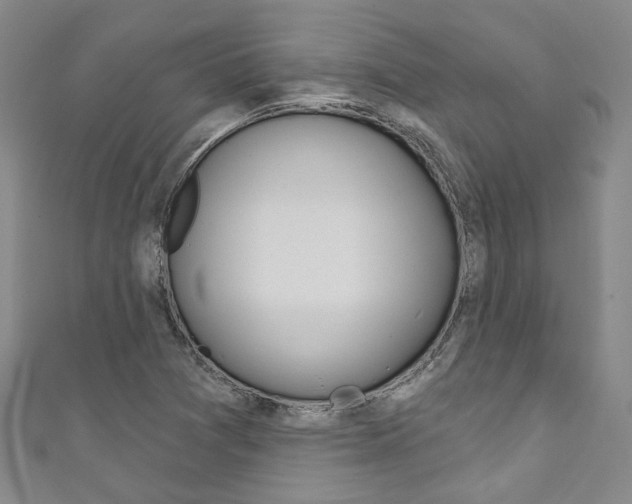 X0000111871361200907231143