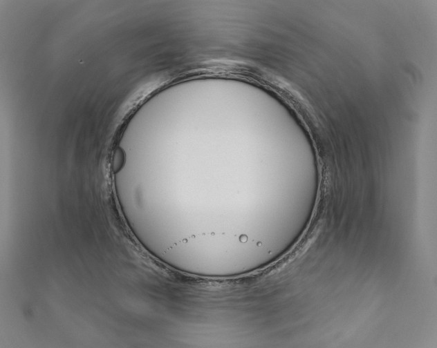 X0000111871362200907231142