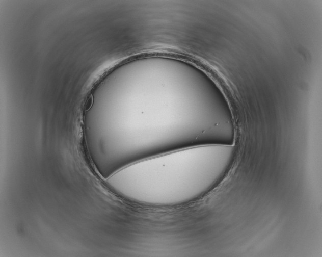 X0000111871363200907231142