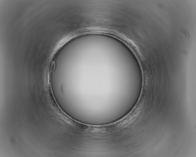 X0000111871365200907231142