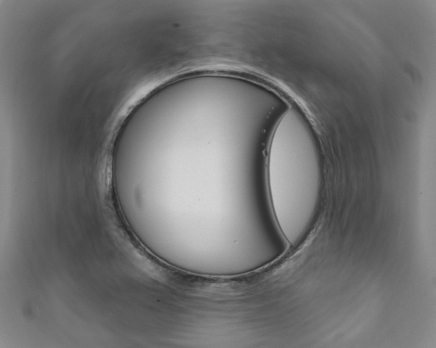 X0000111871367200907231142