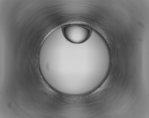 X0000111871369200907231142