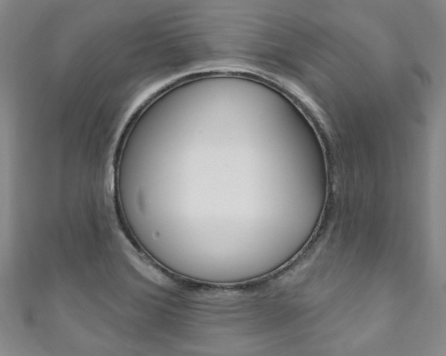 X0000111871372200907231142