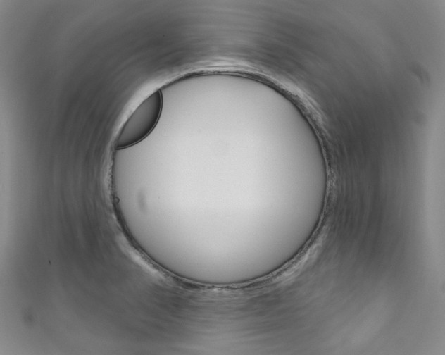 X0000111871374200907231142