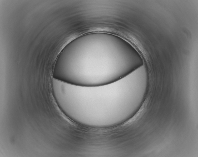 X0000111871377200907231142