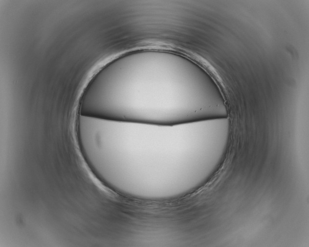 X0000111871379200907231142