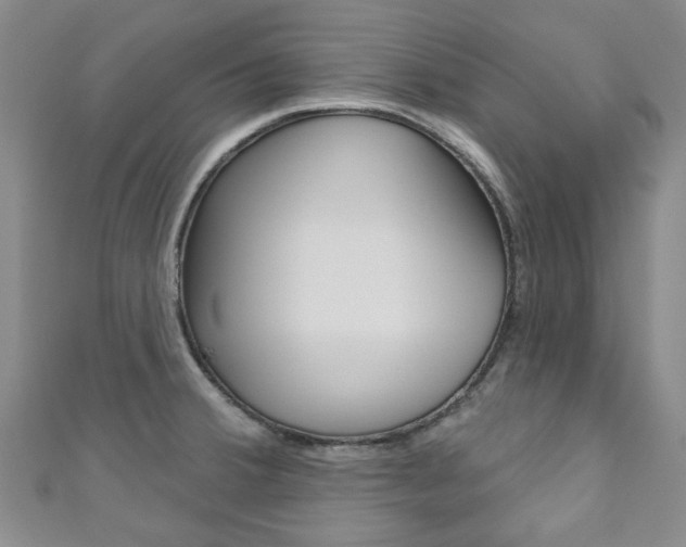 X0000111871380200907231142