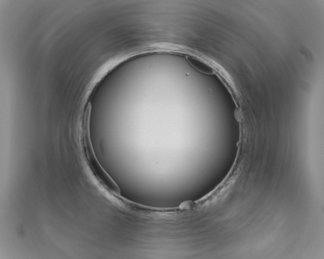 X0000111871381200907231142