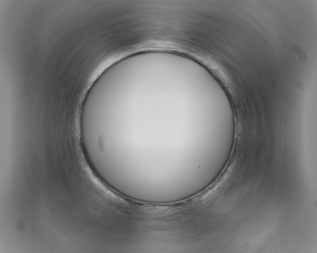 X0000111871382200907231142