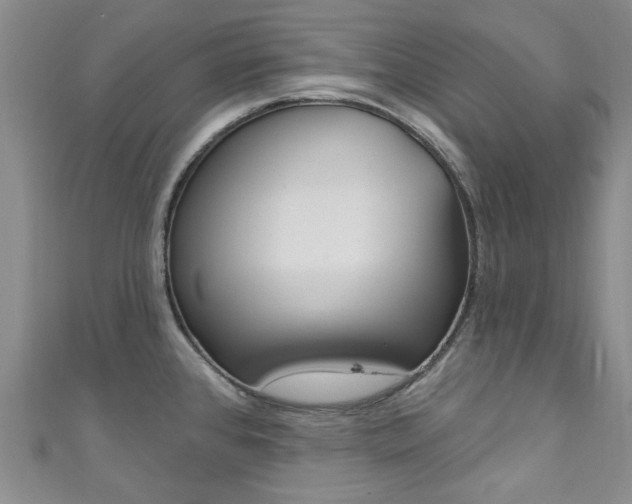 X0000111871384200907231142