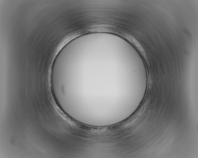 X0000111871386200907231142