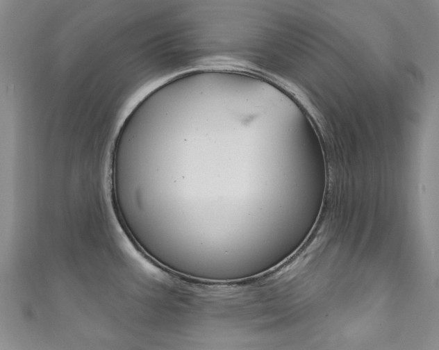 X0000111871387200907231142