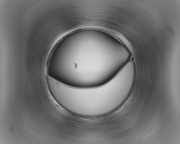 X0000111871388200907231142