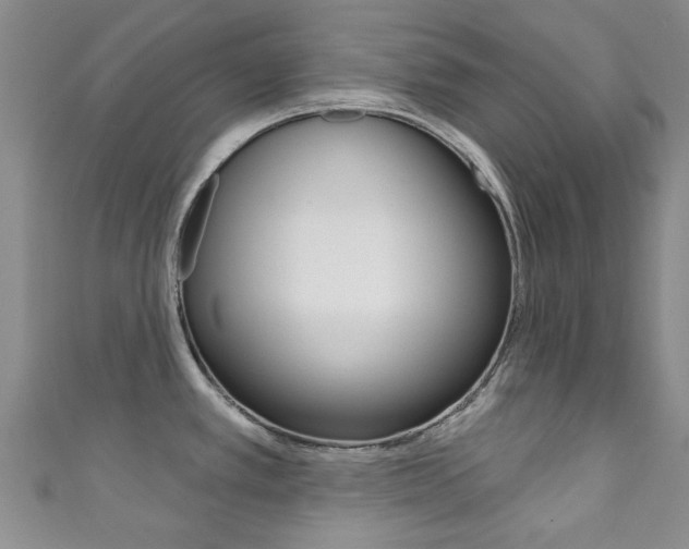 X0000111871389200907231142
