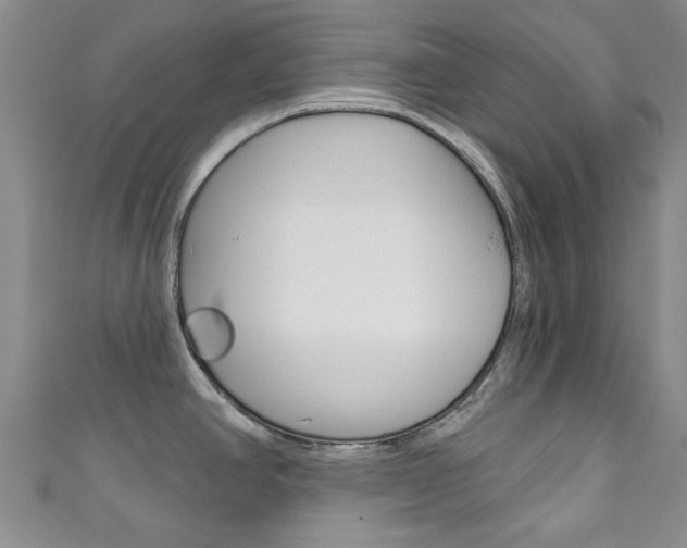 X0000111871390200907231142