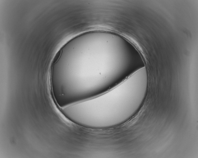 X0000111871391200907231142