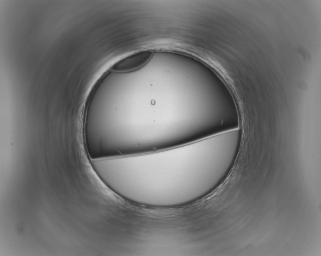 X0000111871392200907231142