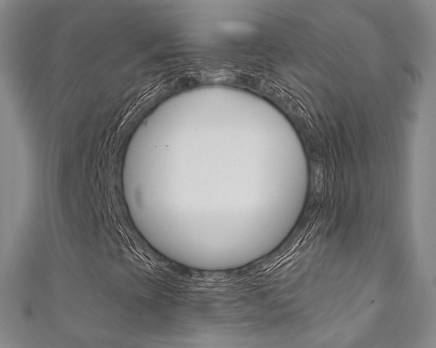 X0000111871393200907231141