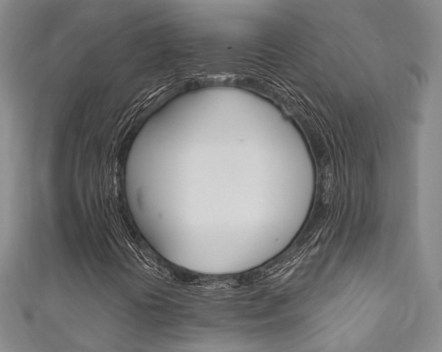 X0000111871394200907231141