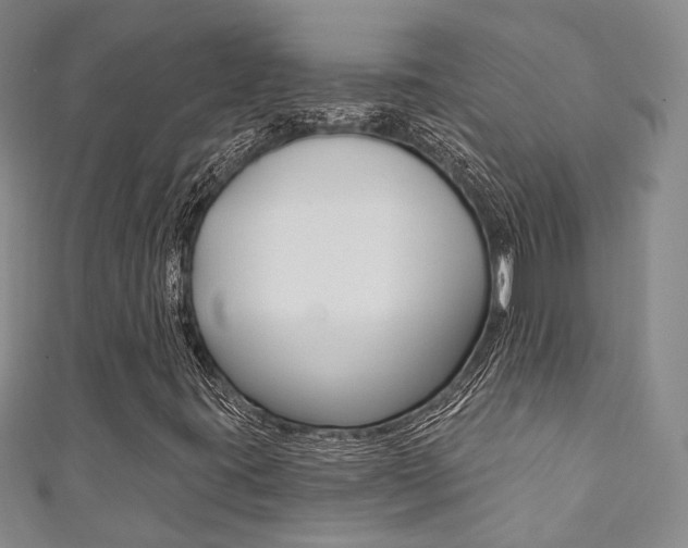 X0000111871395200907231141