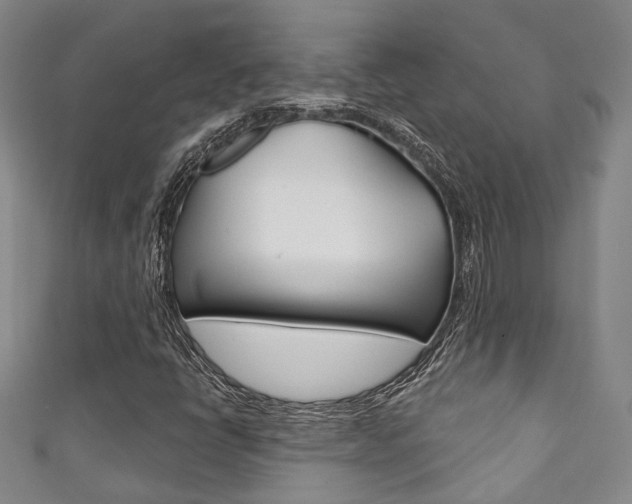 X0000111871398200907231141