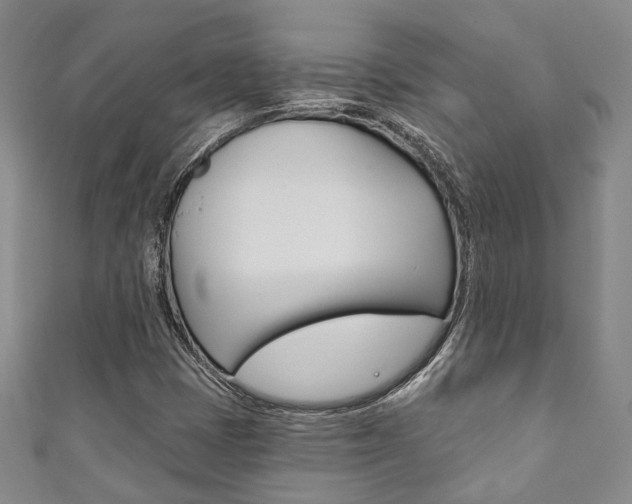 X0000111871401200907231142