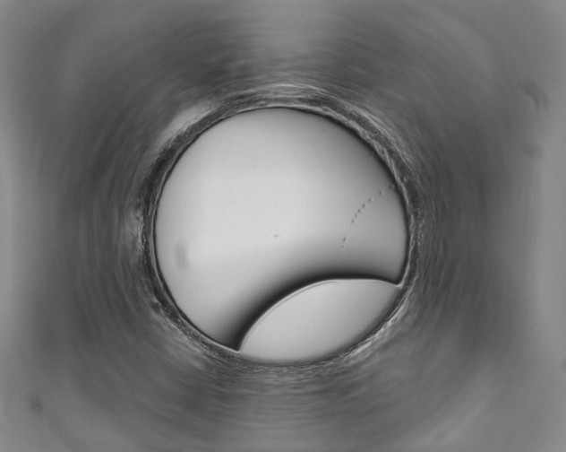 X0000111871402200907231142