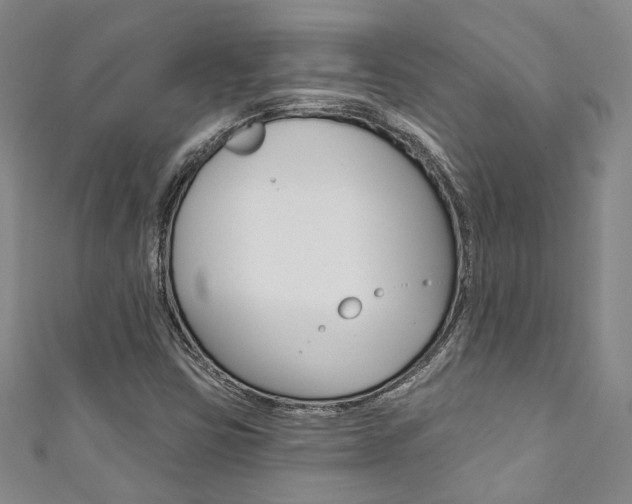 X0000111871403200907231142