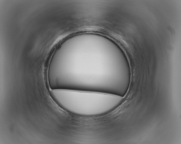 X0000111871404200907231142