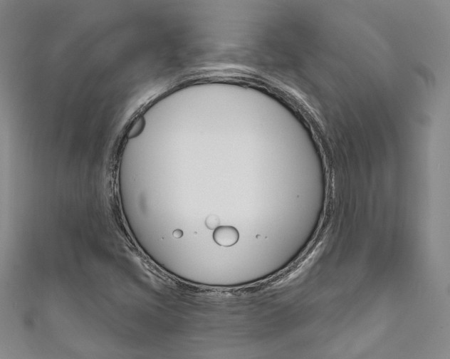 X0000111871405200907231142