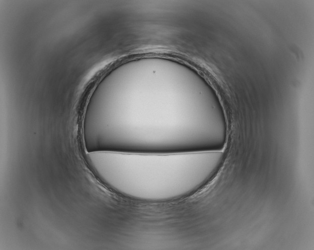 X0000111871406200907231142