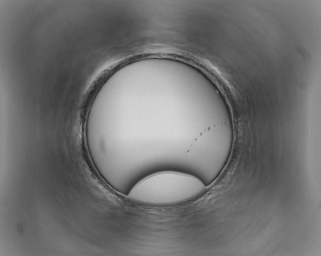 X0000111871408200907231142
