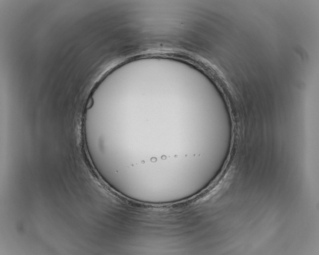 X0000111871409200907231142