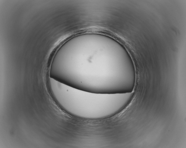 X0000111871410200907231142