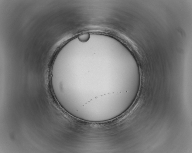 X0000111871411200907231142