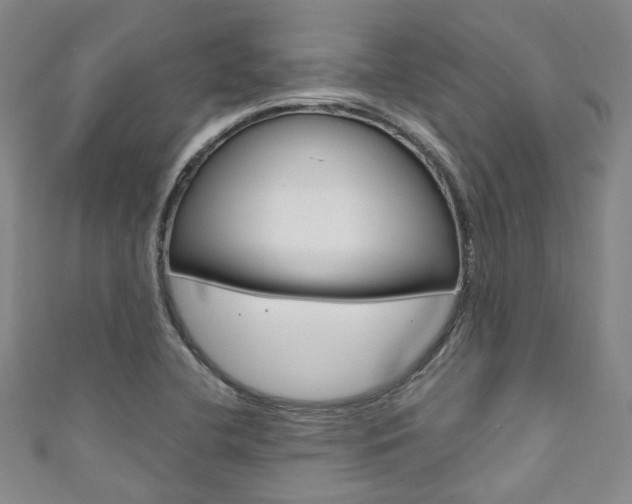X0000111871412200907231142