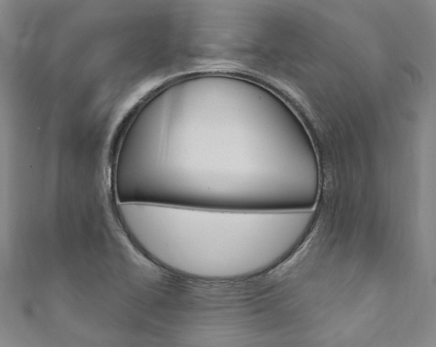 X0000111871414200907231142