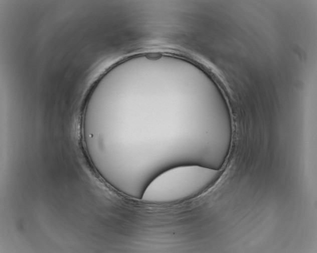 X0000111871415200907231142