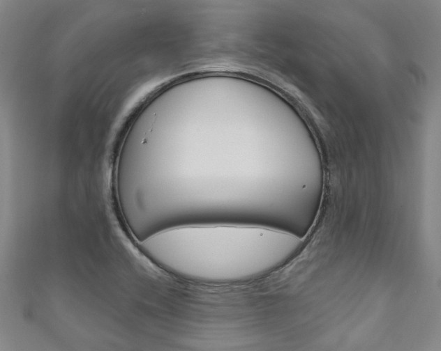 X0000111871416200907231142
