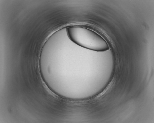 X0000111871417200907231142