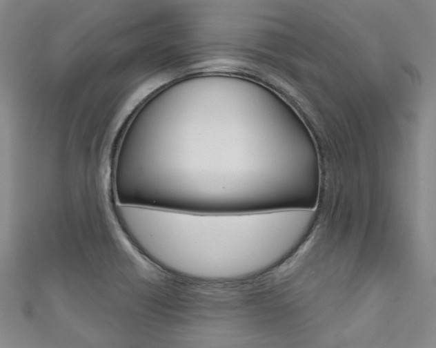 X0000111871418200907231142